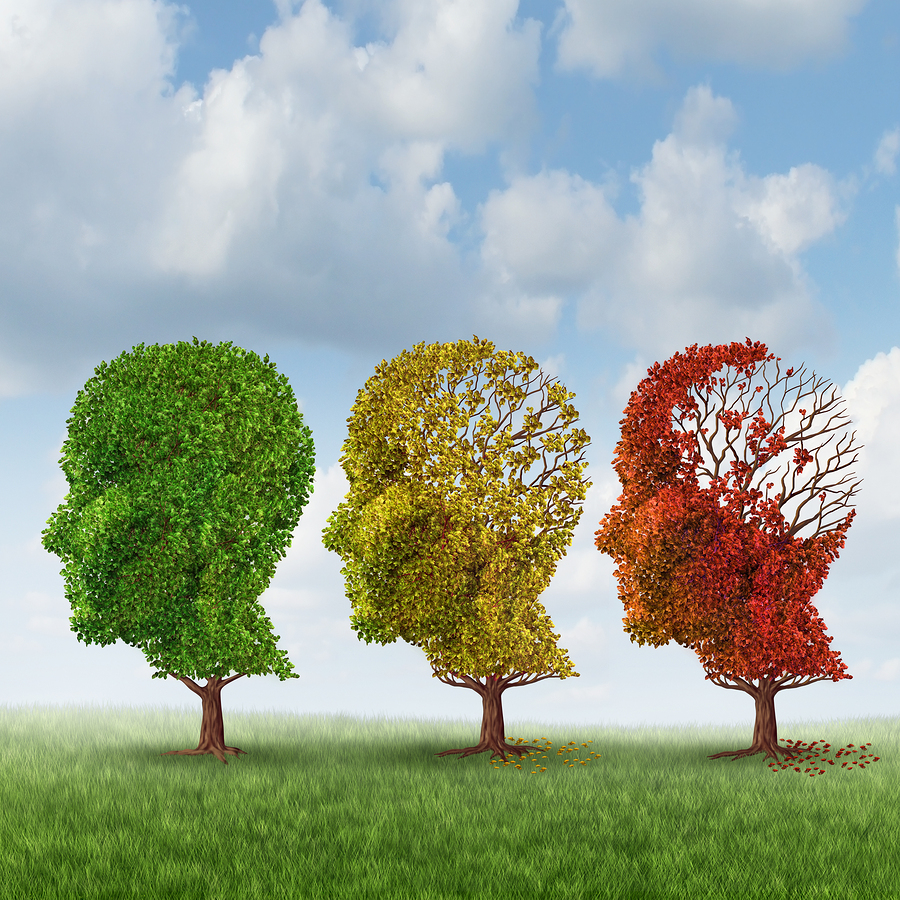 Home Care Services in Paramus NJ: Dementia Hallucinations